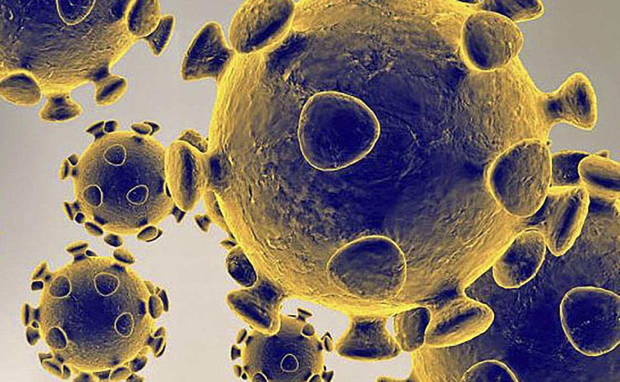 Investigación sobre el coronavirus: La inmunidad contra el Covid en personas que han superado la enfermedad podría durar años