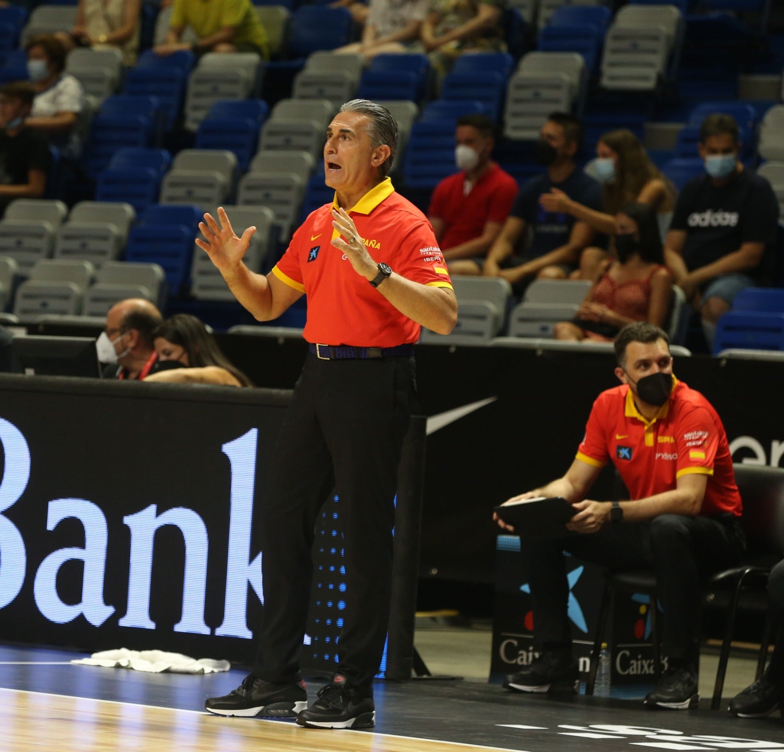 El Martín Carpena se convierte en talismán para una Selección con Pau Gasol como principal atractivo (86-77)