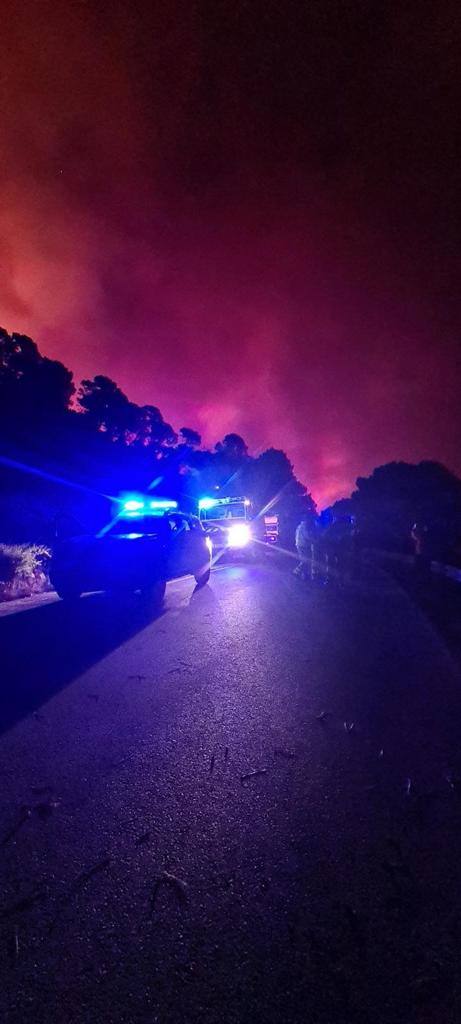 Las llamas se originaron la pasada madrugada en el carretera entre la localidad y Estepona, según el alcalde
