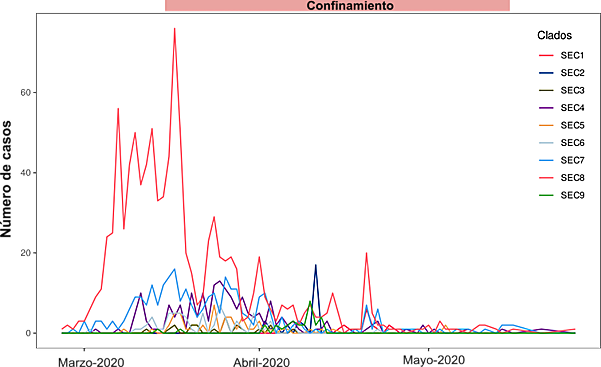 Figura 2. Los nueve Clados Epidémicos Españoles identificados y su incidencia durante los primeros meses de la pandemia.