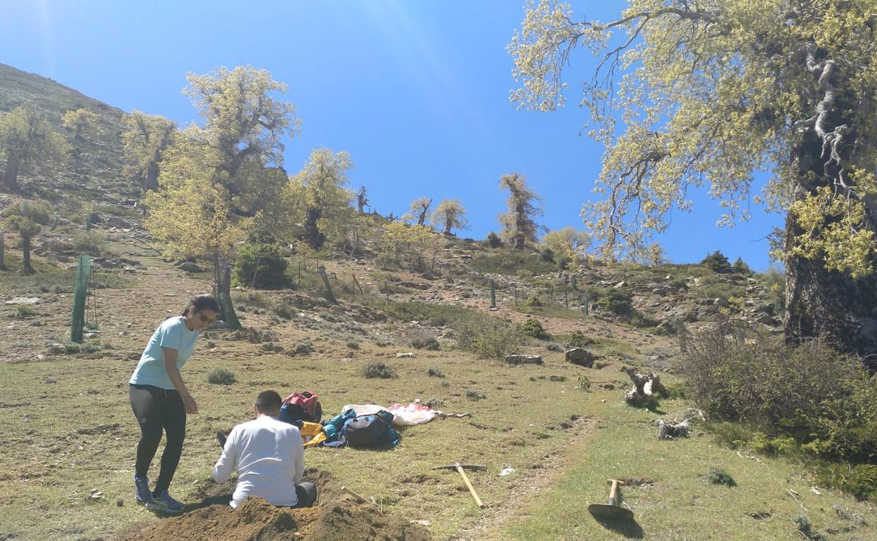 Uno de los sondeos realizados en el Puerto de los Valientes. 