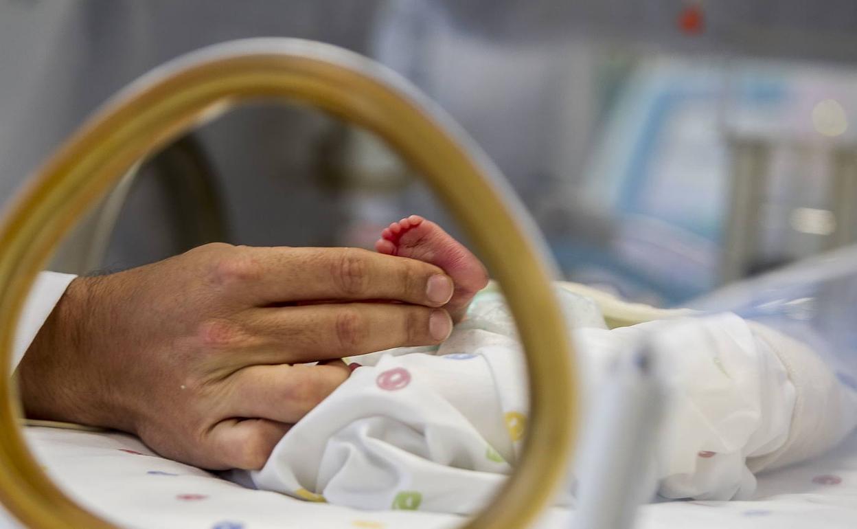 La condenada por la muerte de su bebé en Puerto de la Torre ingresa en prisión por presunto maltrato a otro hijo
