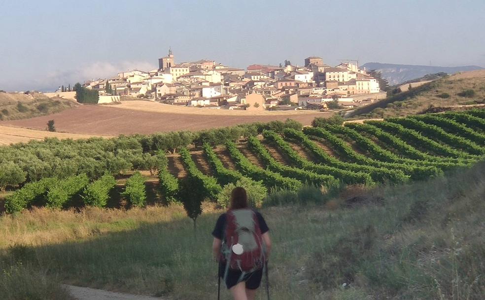 Suben los grados en la tierra del vino