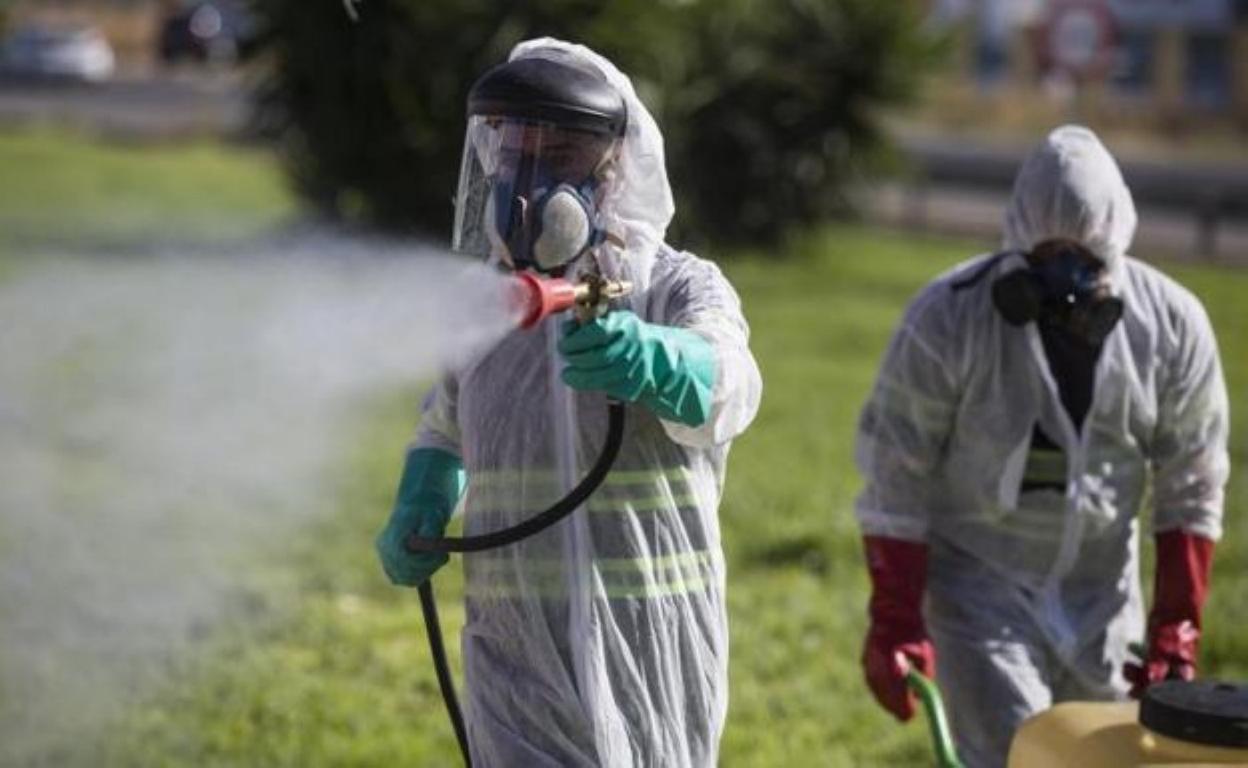 Tareas de fumigación contra el mosquito que provoca el virus del Nilo. 