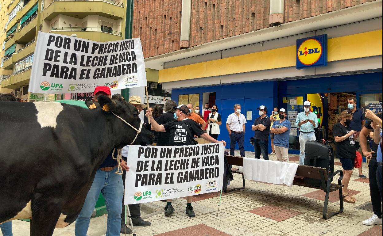 Ganaderos malagueños, este lunes en la protesta frente a un Lidl en la capital. 