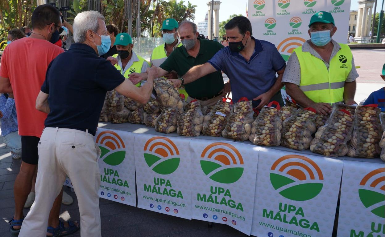 Agricultores de patatas regalan su producto a los viandantes que pasan por la plaza de la Marina. 