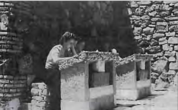 Una mujer lee a la puerta de la biblioteca de Puerta Oscura, en unos pupitres de piedra, que ya no existen. La foto es de 1953 y pertenece al volumen 'Catálogo de la Biblioteca de Málaga', de Adela Rubia Lozano.