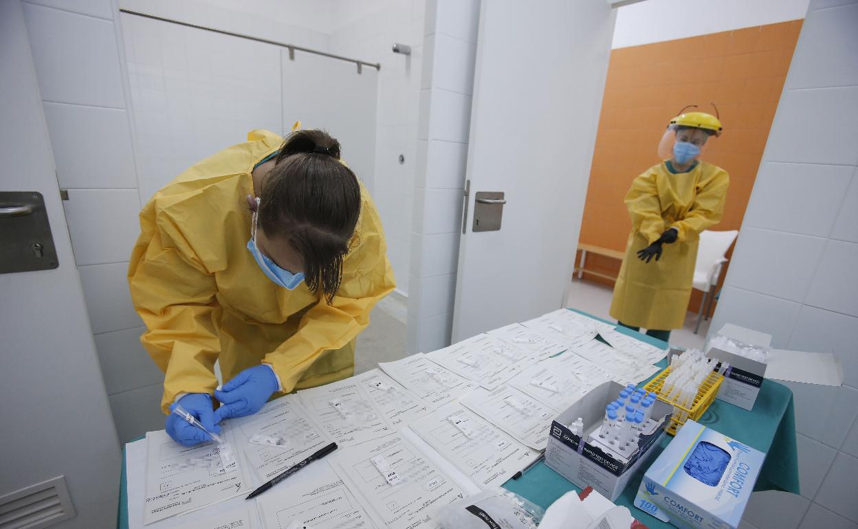 Técnicos de laboratorio haciendo un cribado.