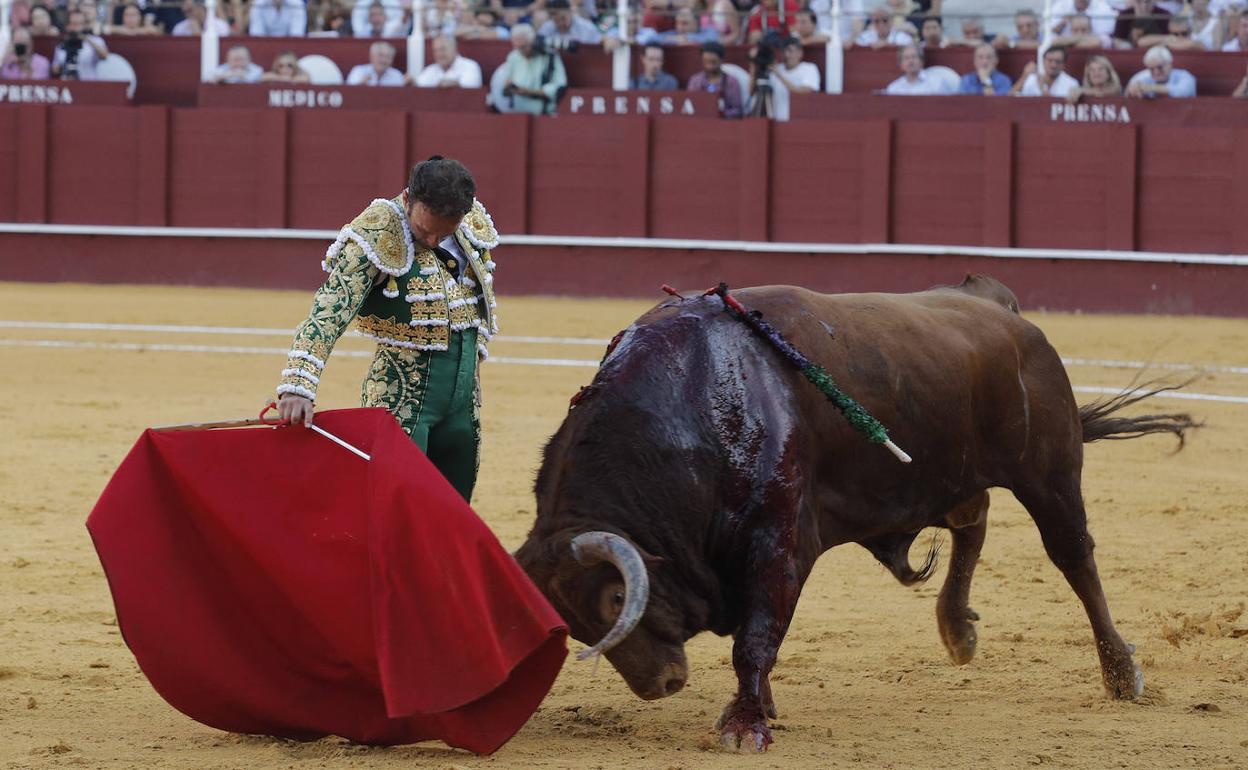 Toros Málaga: Antonio Ferrera sustituye a Cayetano en Málaga