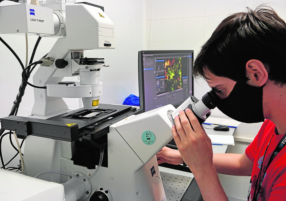 Un investigador en un laboratorio de la UMA. 