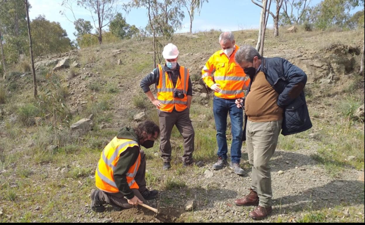 Un experto malagueño apunta a «la verdificación de las ciudades» como factor «clave» en la adaptación al cambio climático