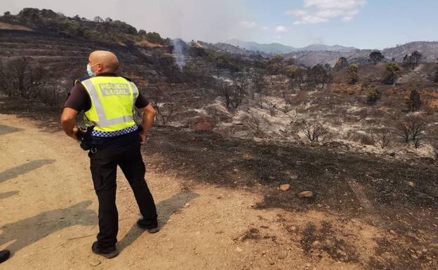 Aumentan a 779 los desalojados por el fuego en Sierra Bermeja