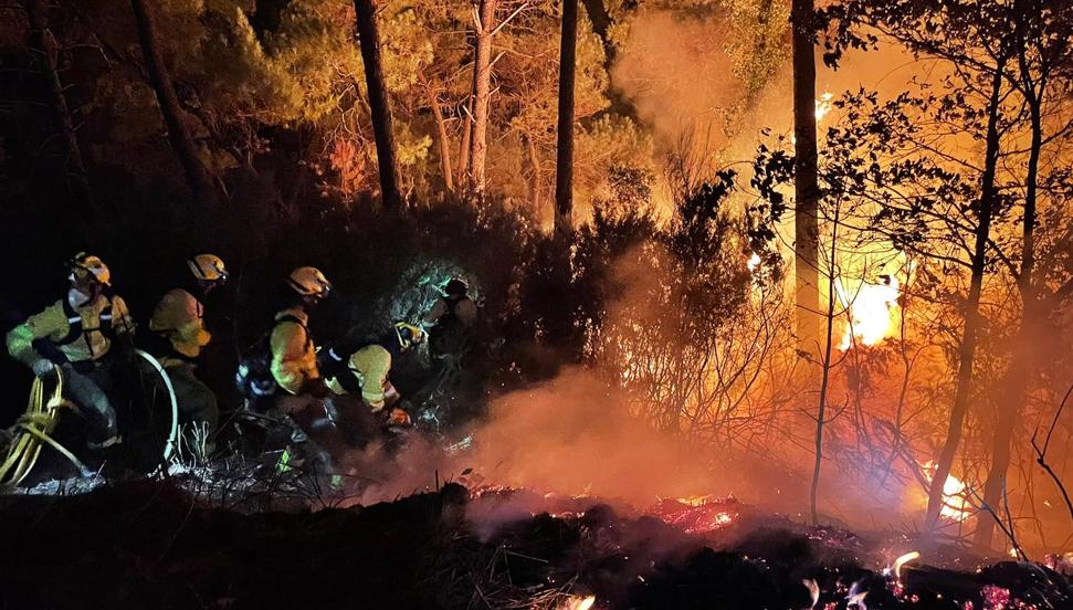 El incendio que afecta a la sierra de Estepona, en fotos