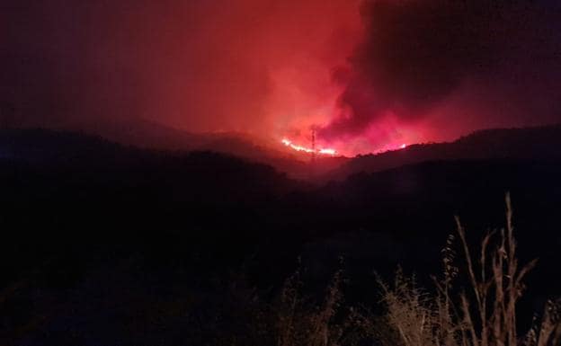 El fuego de Estepona, Jubrique y Genalguacil, en vídeos