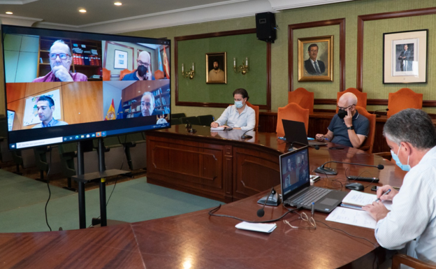 Imagen de la reunión telemática celebrada este jueves en el salón de plenos nerjeño. 