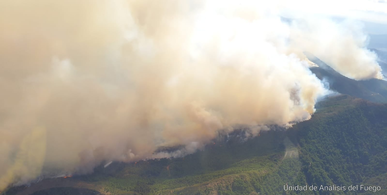 Más de 250 profesionales de Málaga, Granada, Cádiz, Córdoba, Jaén y Sevilla trabajan desde anoche en la zona de Sierra Bermeja donde se ha tenido que cortar al tráfico un tramo de la AP-7 y otras dos carreteras ante el avance de las llamas