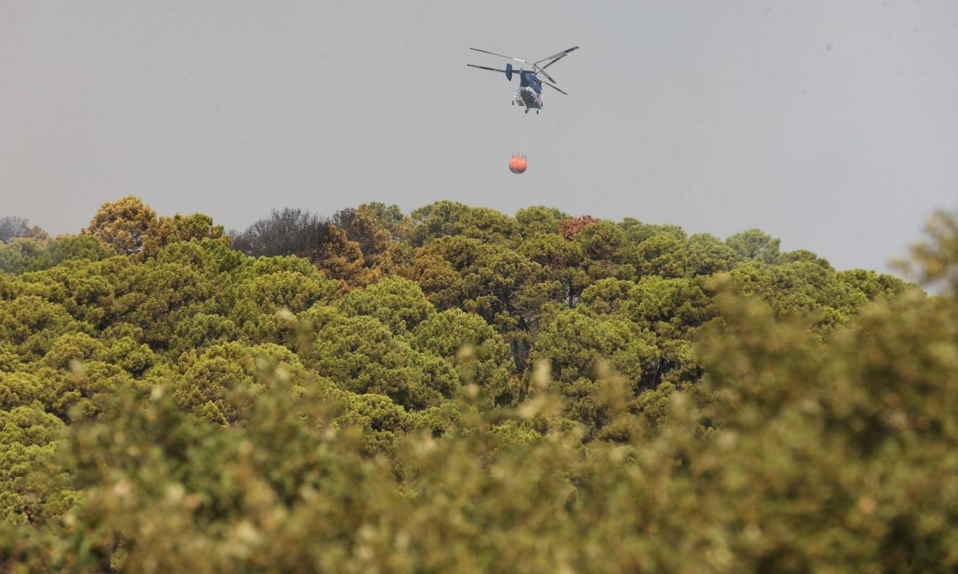 Más de 250 profesionales de Málaga, Granada, Cádiz, Córdoba, Jaén y Sevilla trabajan desde anoche en la zona de Sierra Bermeja donde se ha tenido que cortar al tráfico un tramo de la AP-7 y otras dos carreteras ante el avance de las llamas