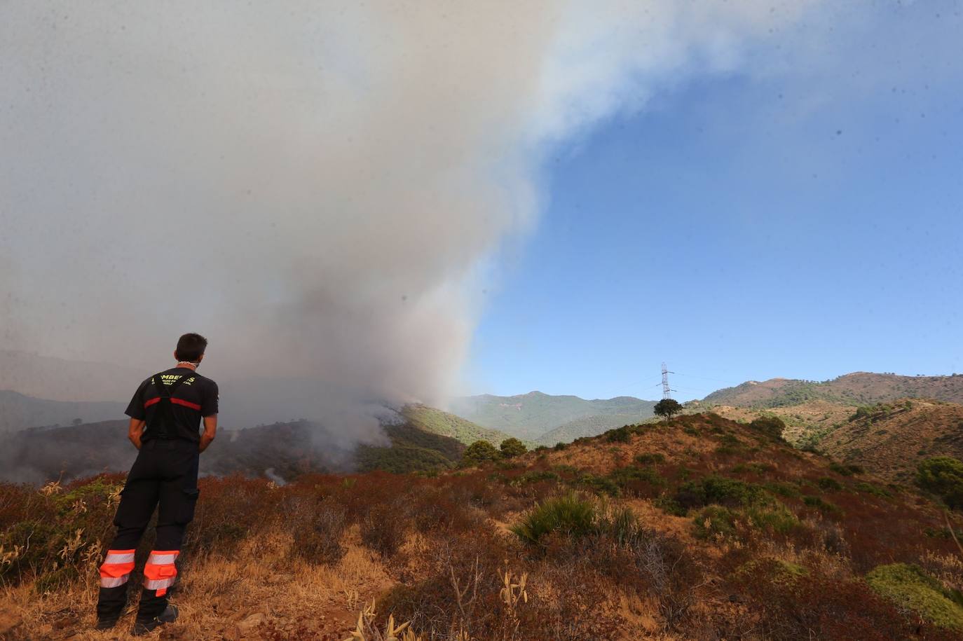 Más de 250 profesionales de Málaga, Granada, Cádiz, Córdoba, Jaén y Sevilla trabajan desde anoche en la zona de Sierra Bermeja donde se ha tenido que cortar al tráfico un tramo de la AP-7 y otras dos carreteras ante el avance de las llamas