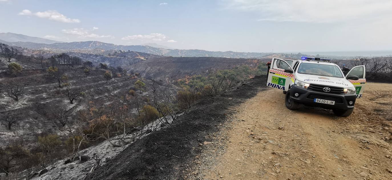 Más de 250 profesionales de Málaga, Granada, Cádiz, Córdoba, Jaén y Sevilla trabajan desde anoche en la zona de Sierra Bermeja donde se ha tenido que cortar al tráfico un tramo de la AP-7 y otras dos carreteras ante el avance de las llamas