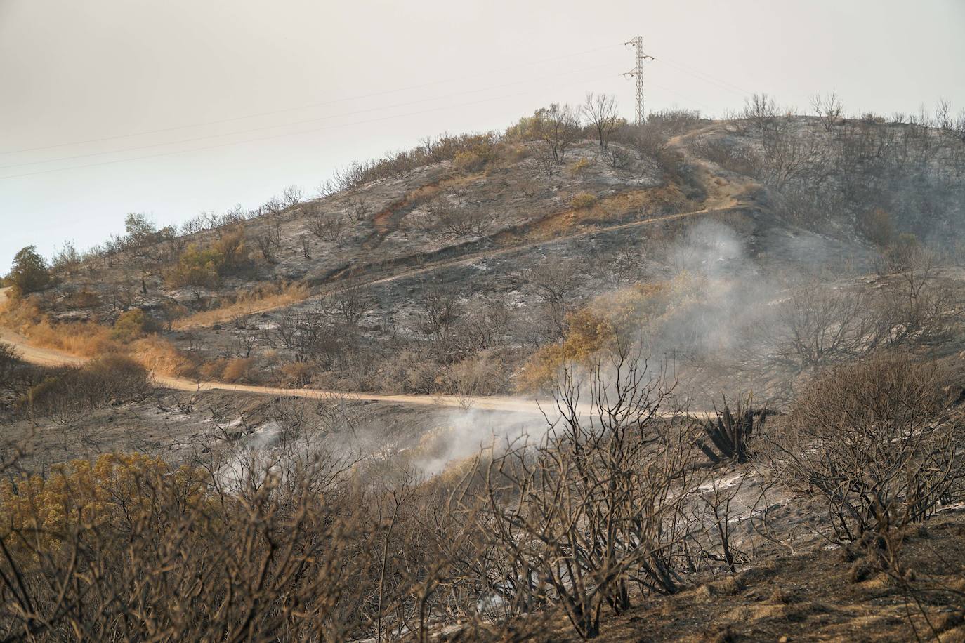 Más de 250 profesionales de Málaga, Granada, Cádiz, Córdoba, Jaén y Sevilla trabajan desde anoche en la zona de Sierra Bermeja donde se ha tenido que cortar al tráfico un tramo de la AP-7 y otras dos carreteras ante el avance de las llamas