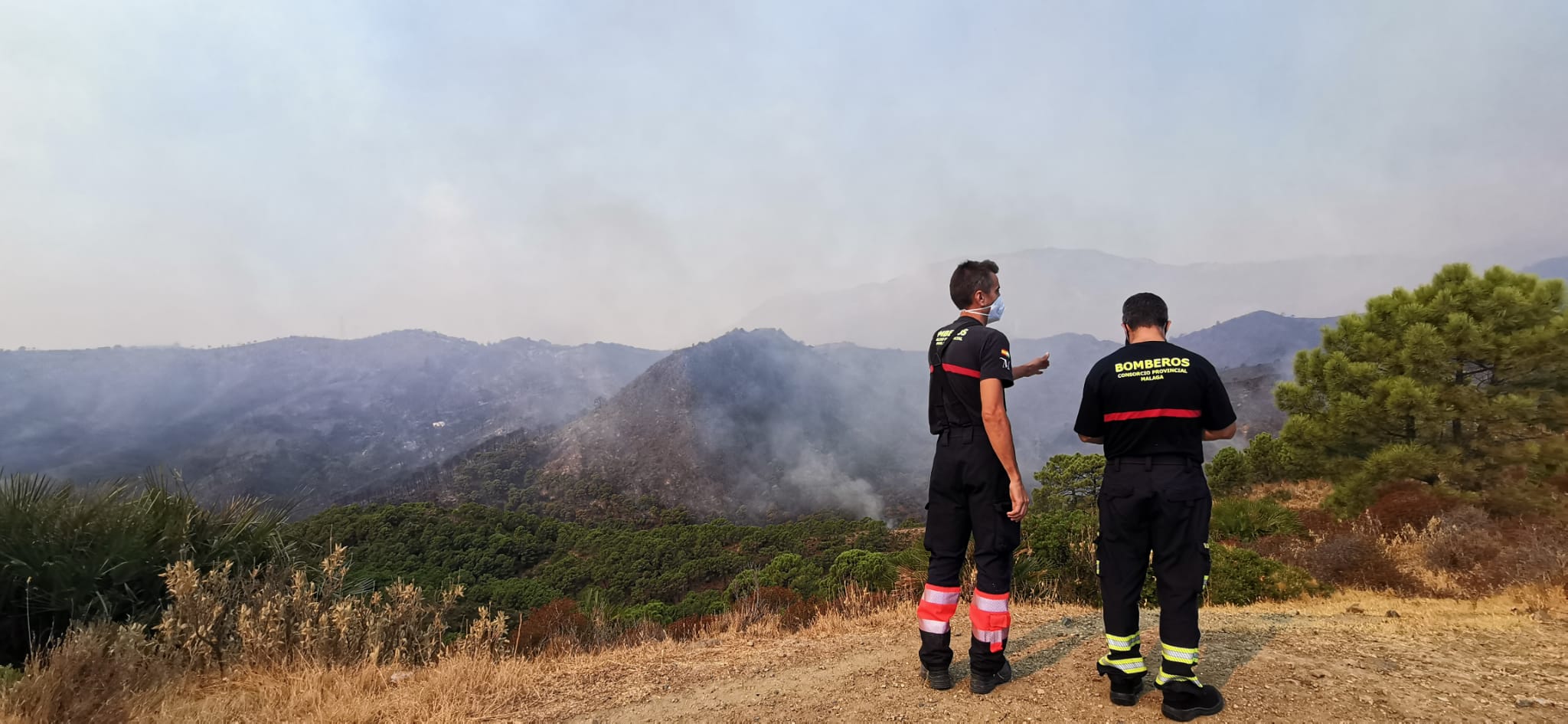 Más de 250 profesionales de Málaga, Granada, Cádiz, Córdoba, Jaén y Sevilla trabajan desde anoche en la zona de Sierra Bermeja donde se ha tenido que cortar al tráfico un tramo de la AP-7 y otras dos carreteras ante el avance de las llamas