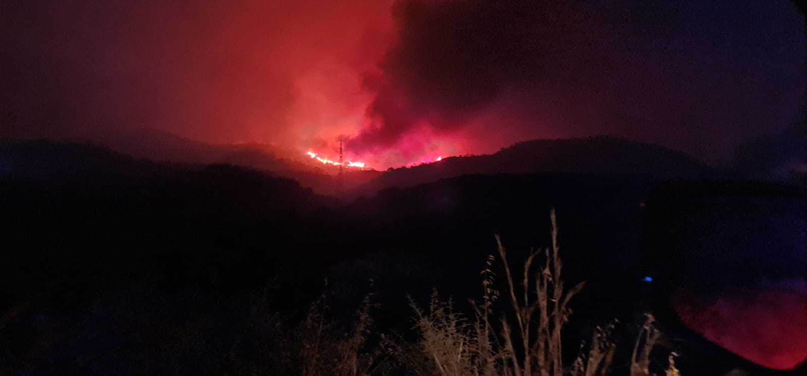 Más de 250 profesionales de Málaga, Granada, Cádiz, Córdoba, Jaén y Sevilla trabajan desde anoche en la zona de Sierra Bermeja donde se ha tenido que cortar al tráfico un tramo de la AP-7 y otras dos carreteras ante el avance de las llamas