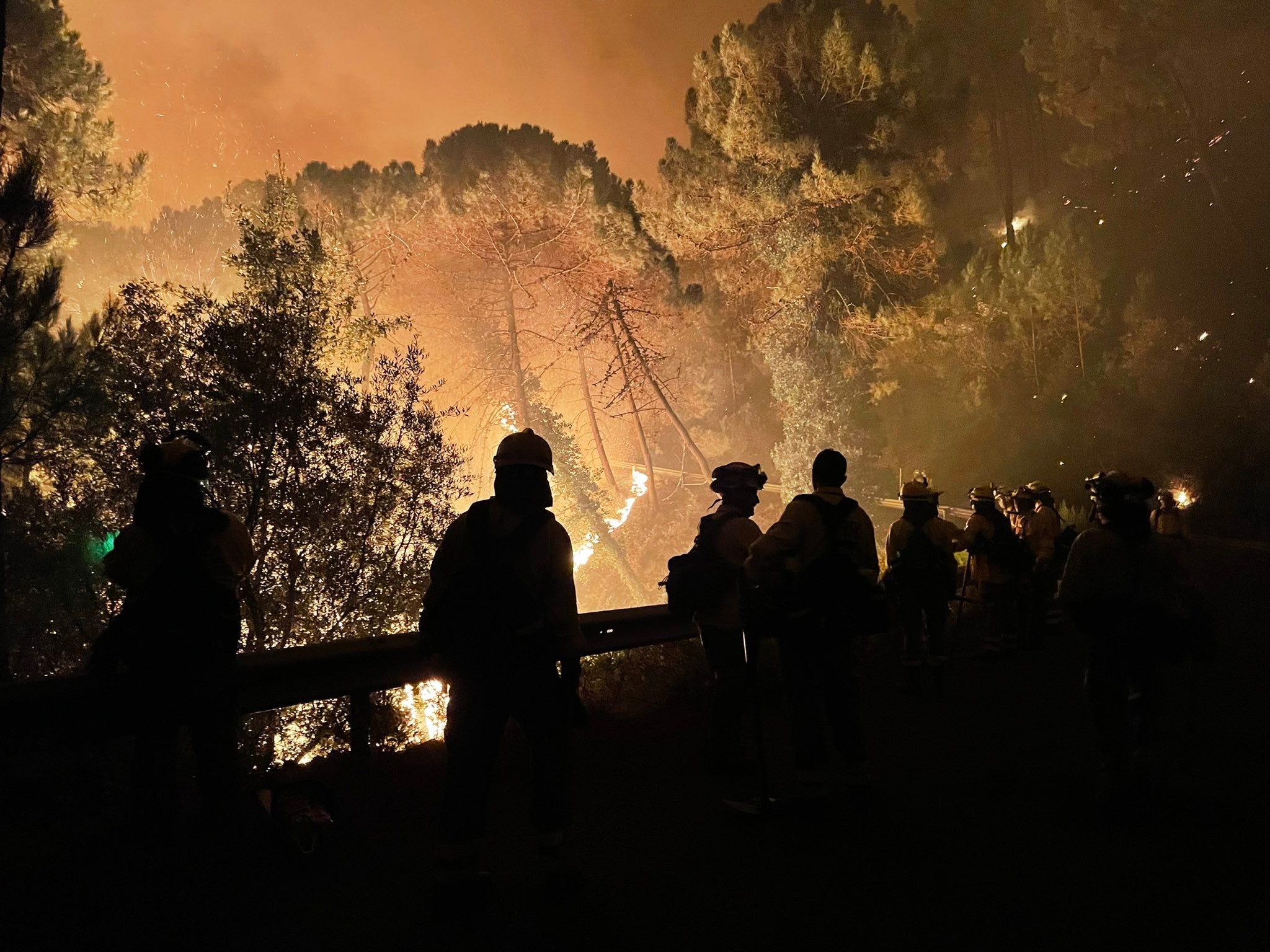 Más de 250 profesionales de Málaga, Granada, Cádiz, Córdoba, Jaén y Sevilla trabajan desde anoche en la zona de Sierra Bermeja donde se ha tenido que cortar al tráfico un tramo de la AP-7 y otras dos carreteras ante el avance de las llamas