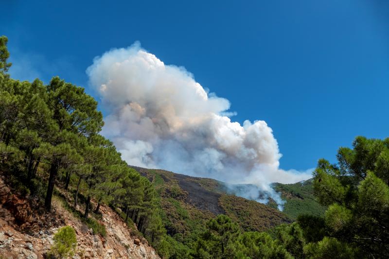 A primera hora de la mañana, la Junta eleva ha elevado a nivel 2 el plan de emergencias en Sierra Bermeja por un incendio que llega al grado E, el máximo de la catalogación del Plan Infoca. Con esta catalogación, ya se pueden solicitar la incorporación de medios extraordinarios estatales, como el caso de la UME. Así, tras la declaración del nivel 2, que implica que la dirección regional del COR asume el mando, se ha decidido reforzar el operativo con 2 FOCAS (hidroaviones) más del Estado a los 4 ya en operativo desde ayer y 1 helicóptero KAMOV. Además, se ha solicitado ya dos BRIF del Estado con 11 efectivos cada uno y un helicóptero. En total 5 medios aéreos más y 22 efectivos para el refuerzo para lograr vencer a las llamas.