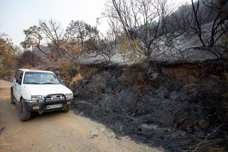 A primera hora de la mañana, la Junta eleva ha elevado a nivel 2 el plan de emergencias en Sierra Bermeja por un incendio que llega al grado E, el máximo de la catalogación del Plan Infoca. Con esta catalogación, ya se pueden solicitar la incorporación de medios extraordinarios estatales, como el caso de la UME. Así, tras la declaración del nivel 2, que implica que la dirección regional del COR asume el mando, se ha decidido reforzar el operativo con 2 FOCAS (hidroaviones) más del Estado a los 4 ya en operativo desde ayer y 1 helicóptero KAMOV. Además, se ha solicitado ya dos BRIF del Estado con 11 efectivos cada uno y un helicóptero. En total 5 medios aéreos más y 22 efectivos para el refuerzo para lograr vencer a las llamas.