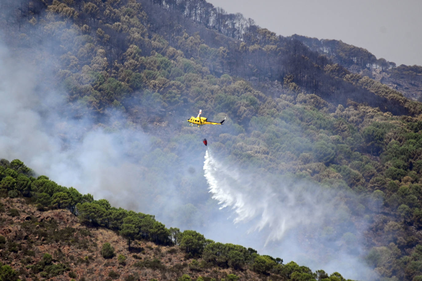 Este sábado se han movilizado 41 medios aéreos y unos 400 efectivos por tierra para luchar contra las llamas que no han afectado al pinsapar de la zona. Los nuevos desalojos elevan a 1.054 el número total de evacuados