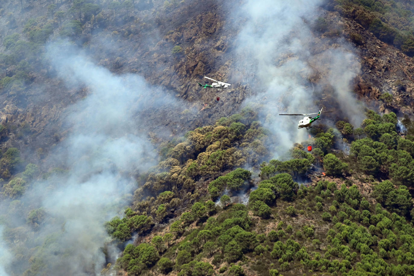 Este sábado se han movilizado 41 medios aéreos y unos 400 efectivos por tierra para luchar contra las llamas que no han afectado al pinsapar de la zona. Los nuevos desalojos elevan a 1.054 el número total de evacuados