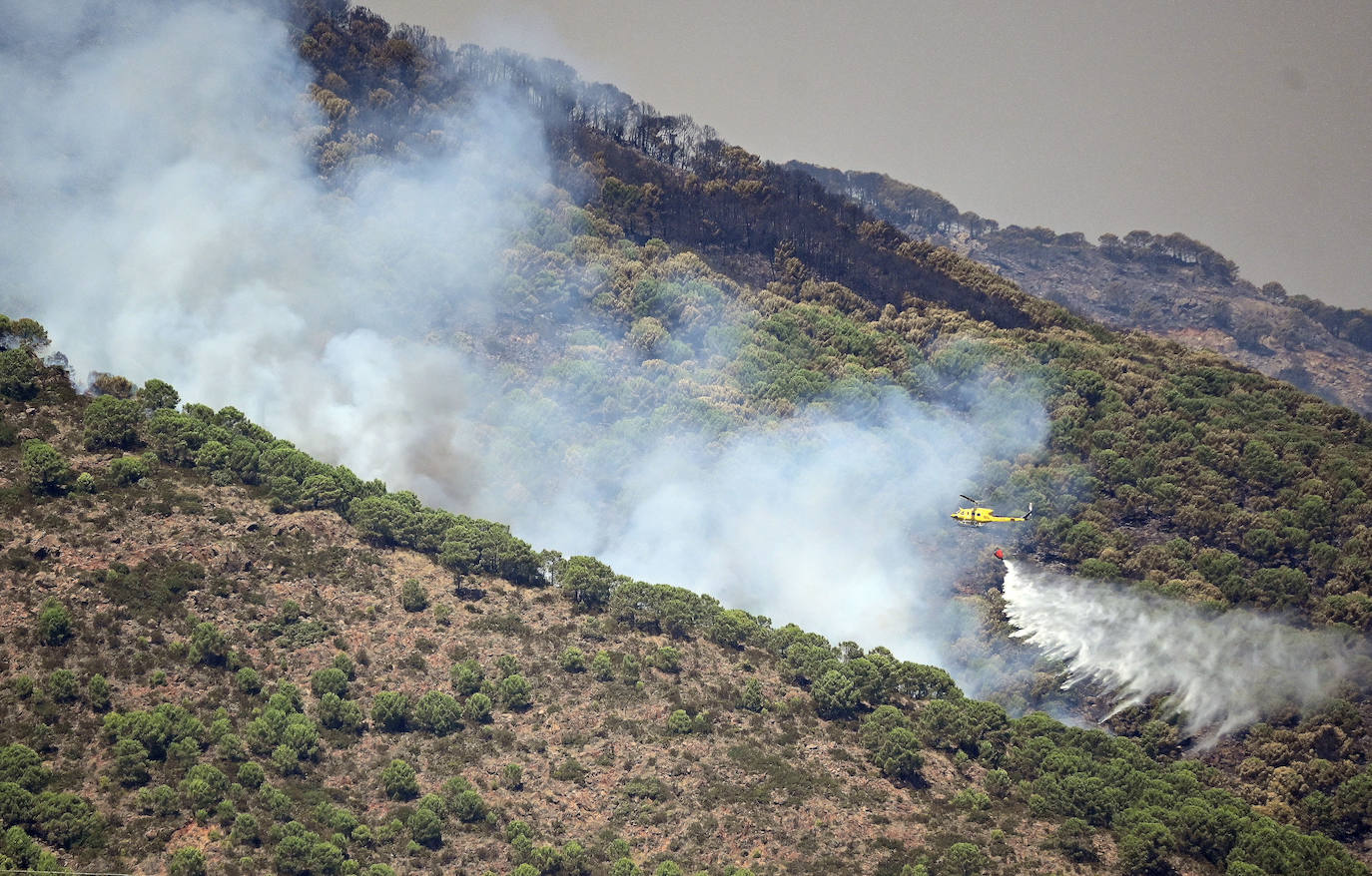 Este sábado se han movilizado 41 medios aéreos y unos 400 efectivos por tierra para luchar contra las llamas que no han afectado al pinsapar de la zona. Los nuevos desalojos elevan a 1.054 el número total de evacuados