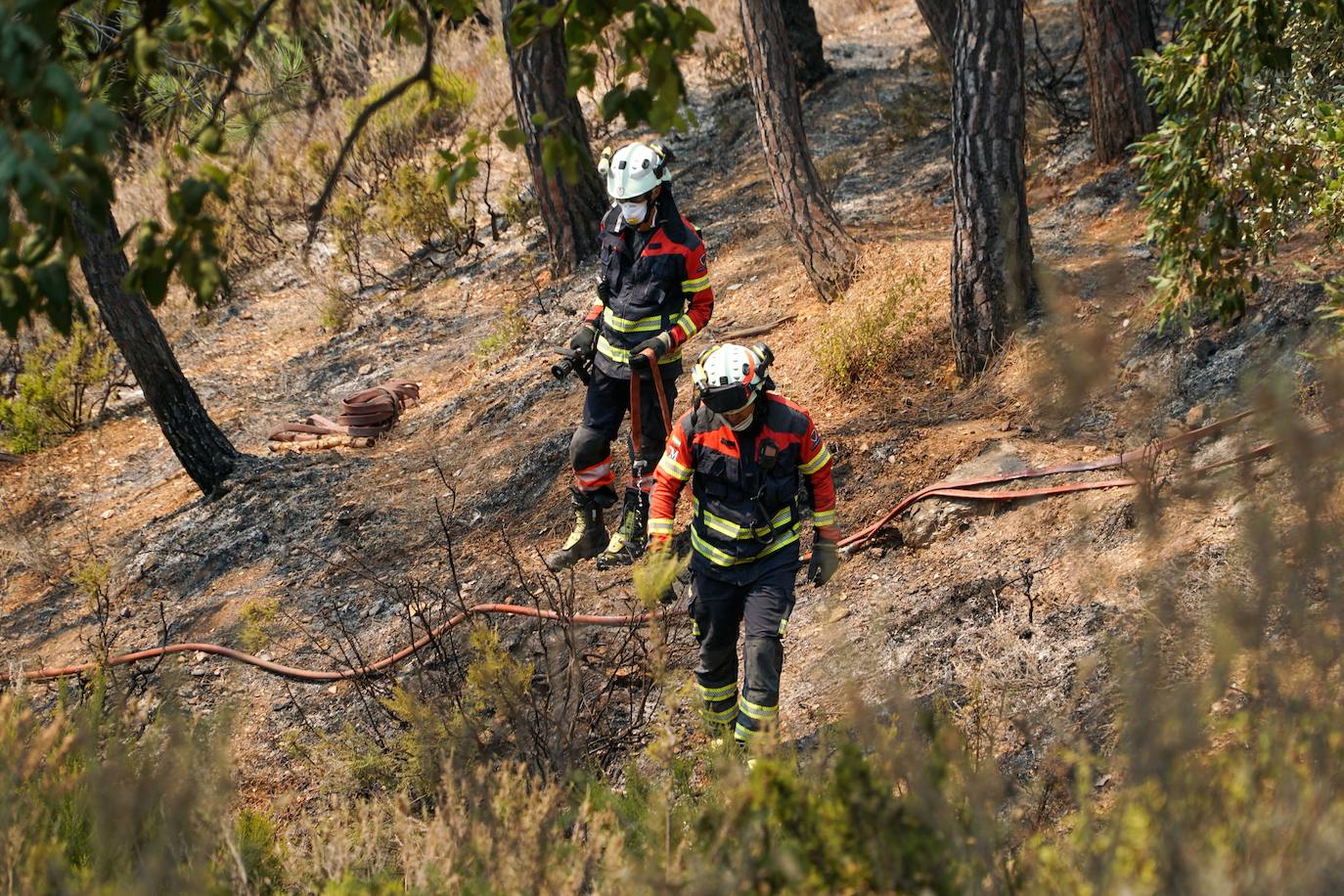 Bomberos forestales, durante los trabajos en la Sierra Bermeja este sábado, en el que el incendio sigue descontrolado