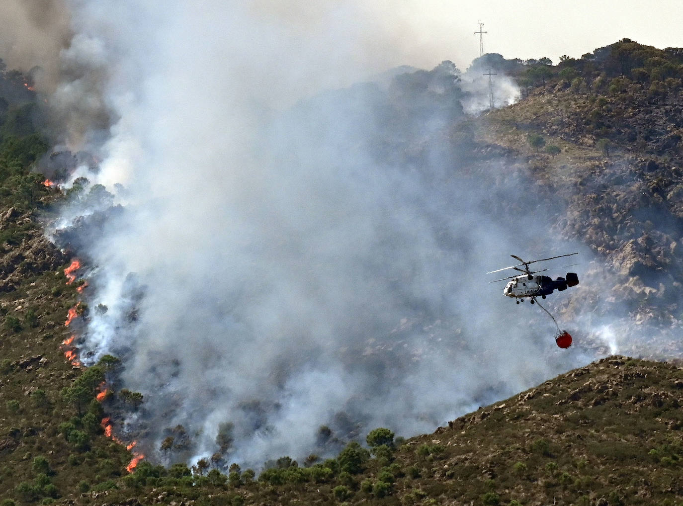 Este sábado se han movilizado 41 medios aéreos y unos 400 efectivos por tierra para luchar contra las llamas que no han afectado al pinsapar de la zona. Los nuevos desalojos elevan a 1.054 el número total de evacuados