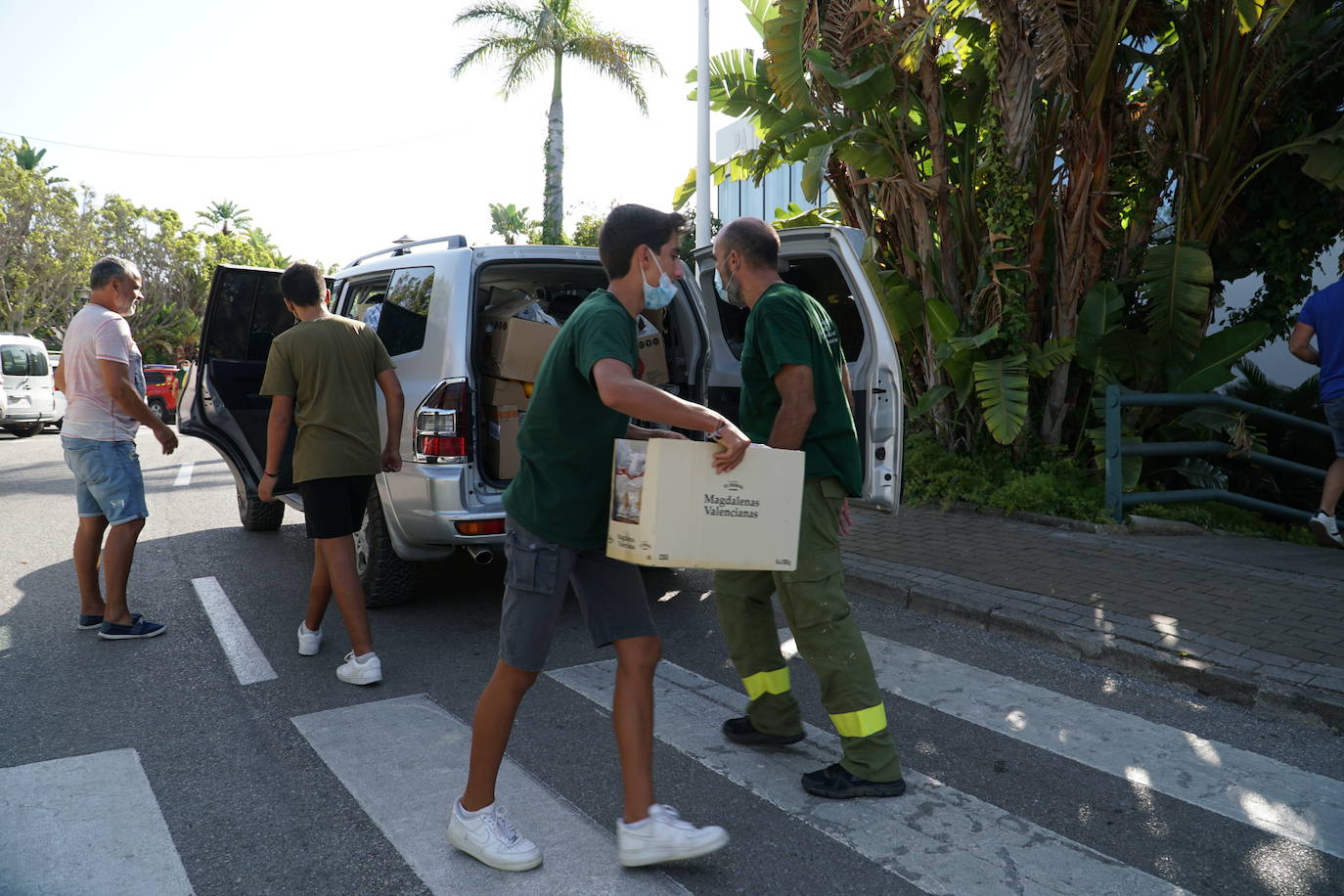 Las cenizas provocan otro incendio que obliga al desalojo preventivo de Jubrique y Genalguacil este domingo