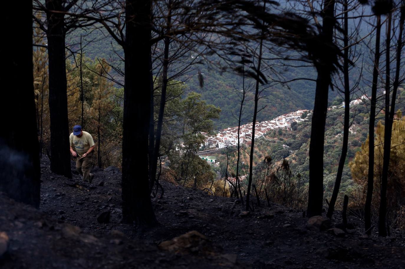 Las imágenes de la desolación tras quedar controlado el fuego en Sierra Bermeja. 