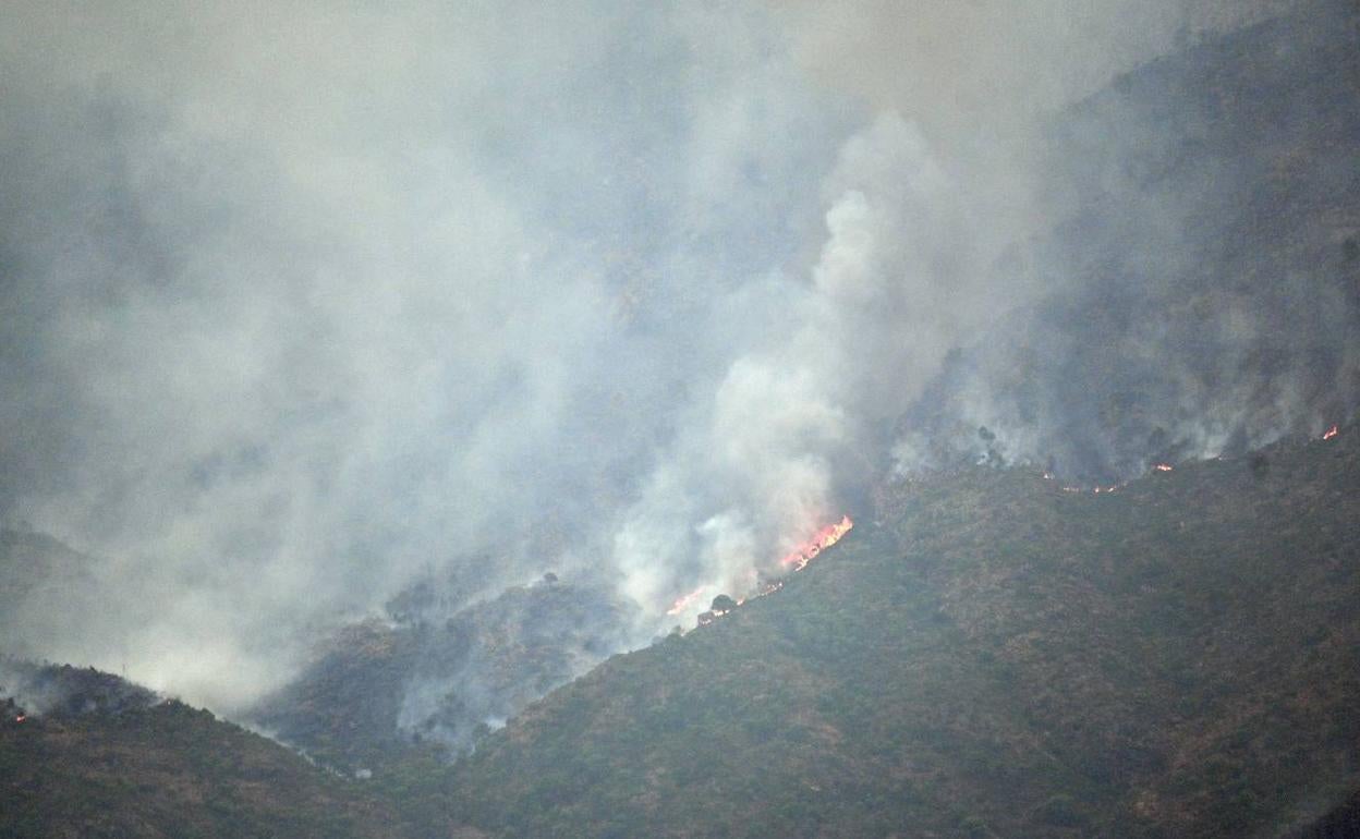 Incendio forestal Sierra Bermeja: La Hermandad del Sepulcro reservará una partida de su fondo de caridad para la reforestación de Sierra Bermeja