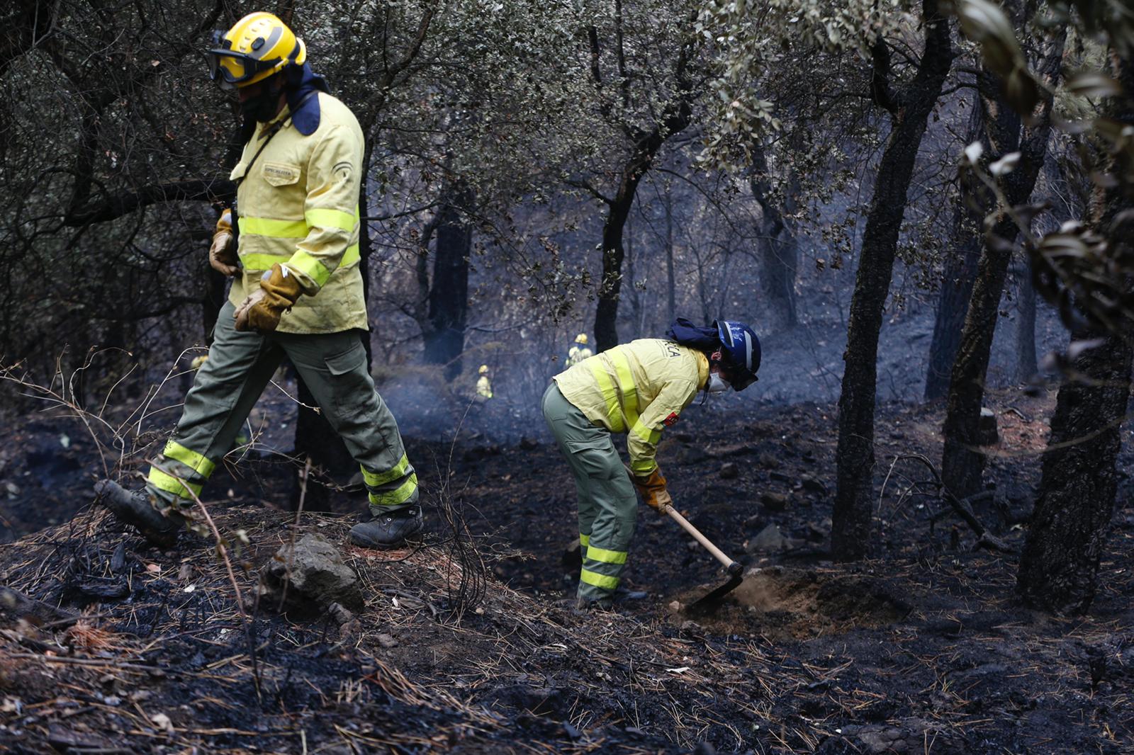 Imagen del incendio, este martes