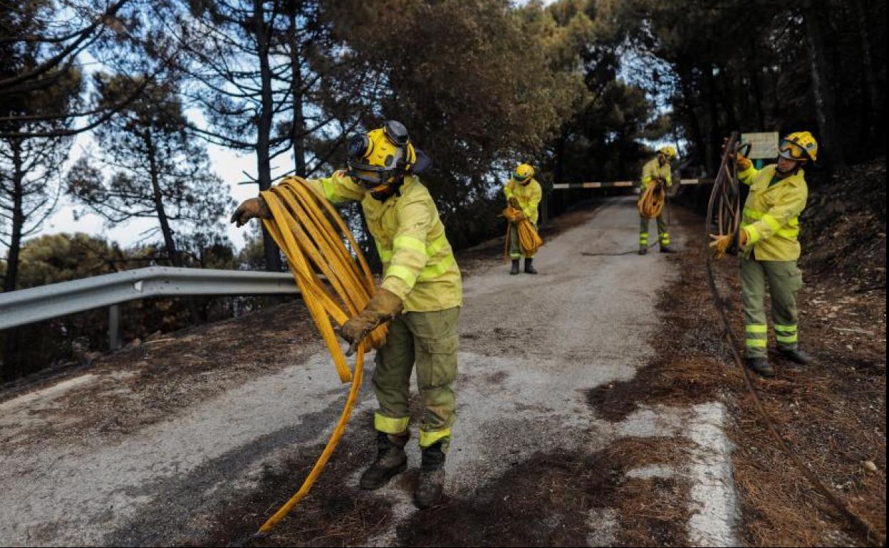 Falta realizar la valoración oficial tras la extinción del incendio, que aún continúa activo