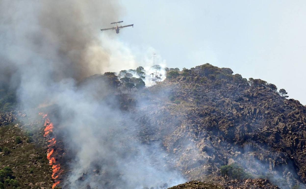 Actuación del Infoca durante el incendio de Sierra Bermeja.