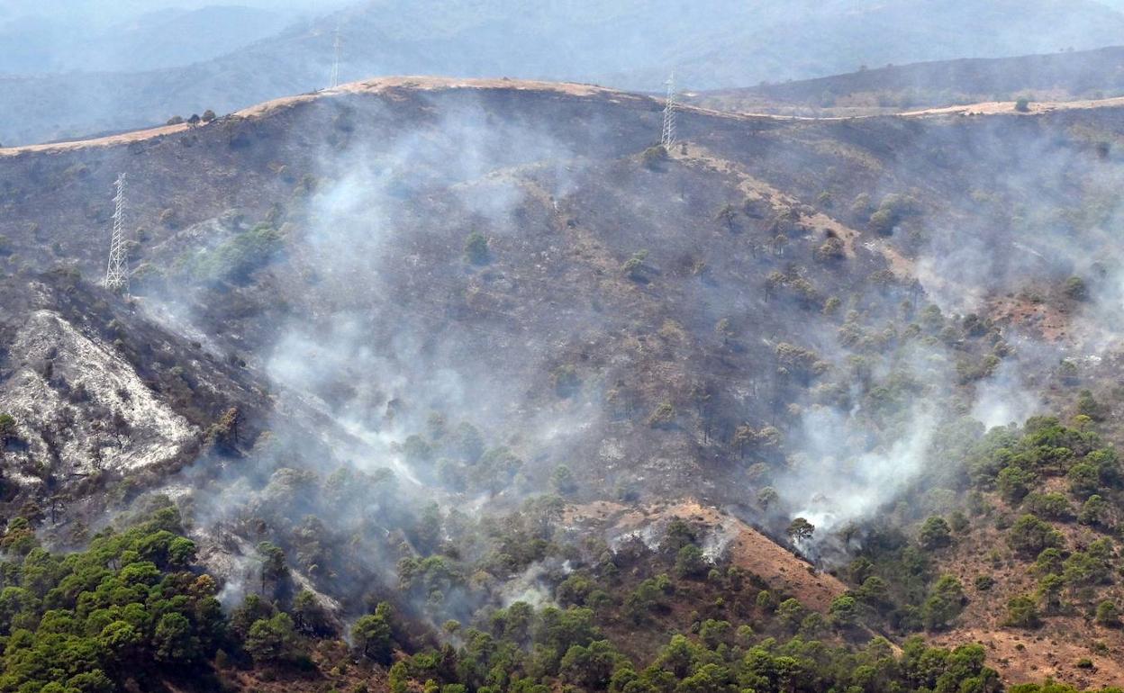 Zona de monte afectada por el incendio de la semana pasada en Sierra Bermeja. 