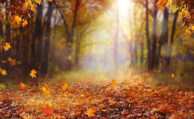 Es en este momento cuando la duración del día y la noche prácticamente coinciden