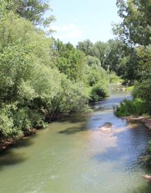 Imagen secundaria 2 - Arriba, el cañón tiene unas dimensiones vertiginosas. Abajo: Puente a la altura de la aldea de El Colmenar y Río Guadiaro.
