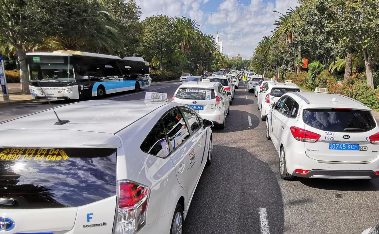 Los taxistas han parado sus vehículos en el Paseo del Parque. 