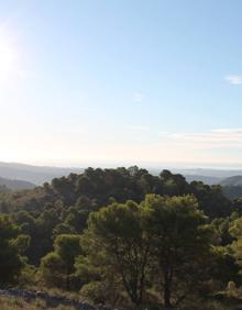 Imagen secundaria 2 - Una de las denominadas canteras azules. Al fondo, Alozaina y Casarabonela. La costa de Fuengirola y Mijas se puede ver desde esta ruta.