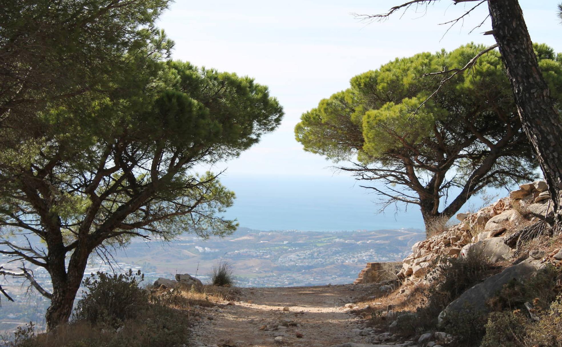 Camino con vista panorámica de la costa.