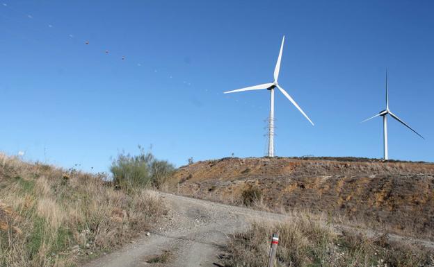 Imagen principal - Los aerogeneradores forman parte del paisaje de esta ruta. Señales que indican el camino a seguir en el inicio. Descenso que hay que hacer al principio desde Carratraca.