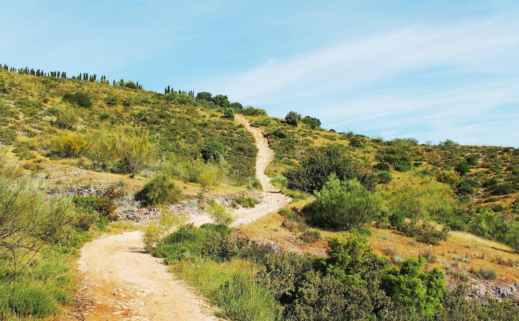 Primera subida de la ruta.