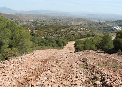 Imagen secundaria 1 - Vista de Coín. En la última parte habrá que descender por este cortafuegos. Durante buena parte del recorrido se atraviesa un frondoso pinar.