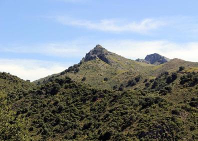 Imagen secundaria 1 - Vista panorámica de Jimera de Líbar.El recorrido se hace entre los valles del Guadiaro y del Genal. Hay zonas especialmente frondosas durante la etapa.